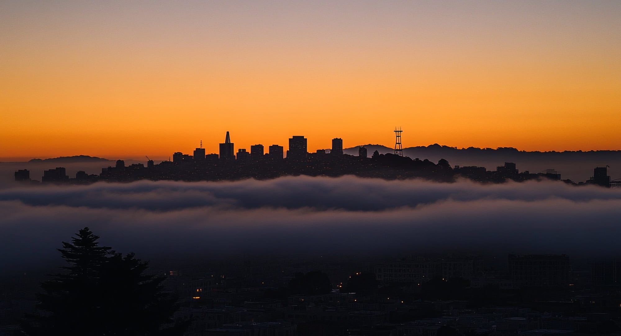 Tech Giants' Reality Check: Microsoft Retreats While Grok Trips Over Truth