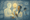 Anthropic Backs Science Projects with Free AI Access