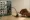 Microsoft Adds Claude AI to Office Copilot Alongside OpenAI